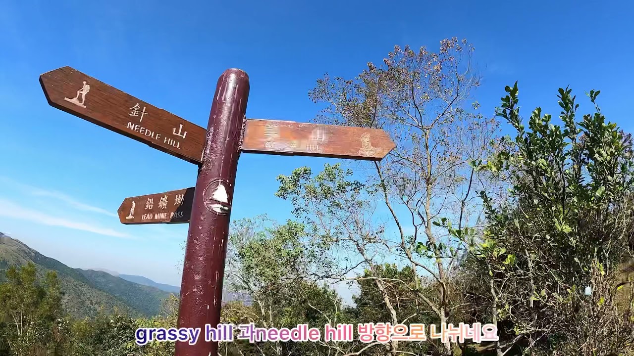 [홍콩 HongKong] Hiking , Grassy hill trail , Fotan Shatin area Nov 27th ,2021 TTL