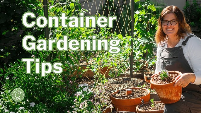 10 Common Container Gardening Mistakes