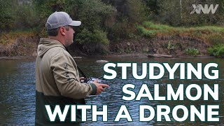 Studying Salmon With A Drone