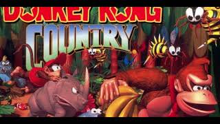 Donkey Kong Country Music SNES | Jungle Groove | Retro Video Game Music