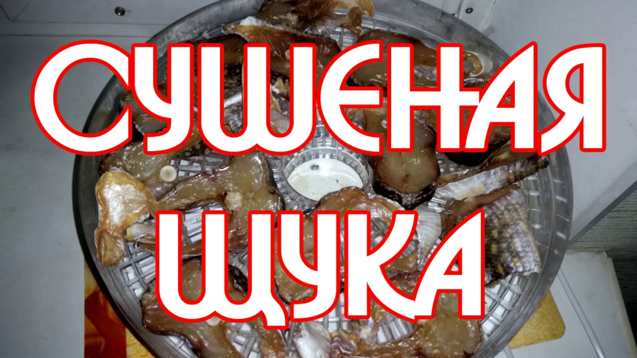 Ветрянка фото, симптомы и лечение у детей в Ветрянка фото, симптомы и лечение у детей в