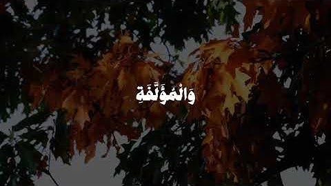 سورة التوبة الآية ( ٦٠ ) .