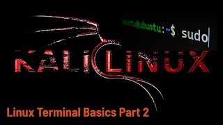 Linux Terminal Commands Basics Part 2