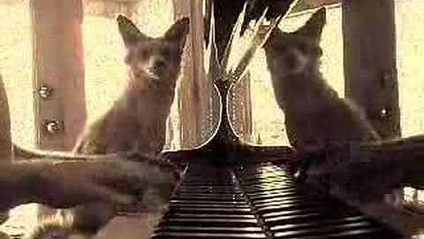 In the Days of the Caveman - Crash Test Dummies