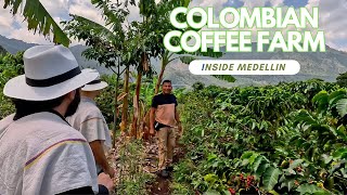 Love Coffee? Then You Will Love This Urban Coffee Farm Experience in Medellin Colombia