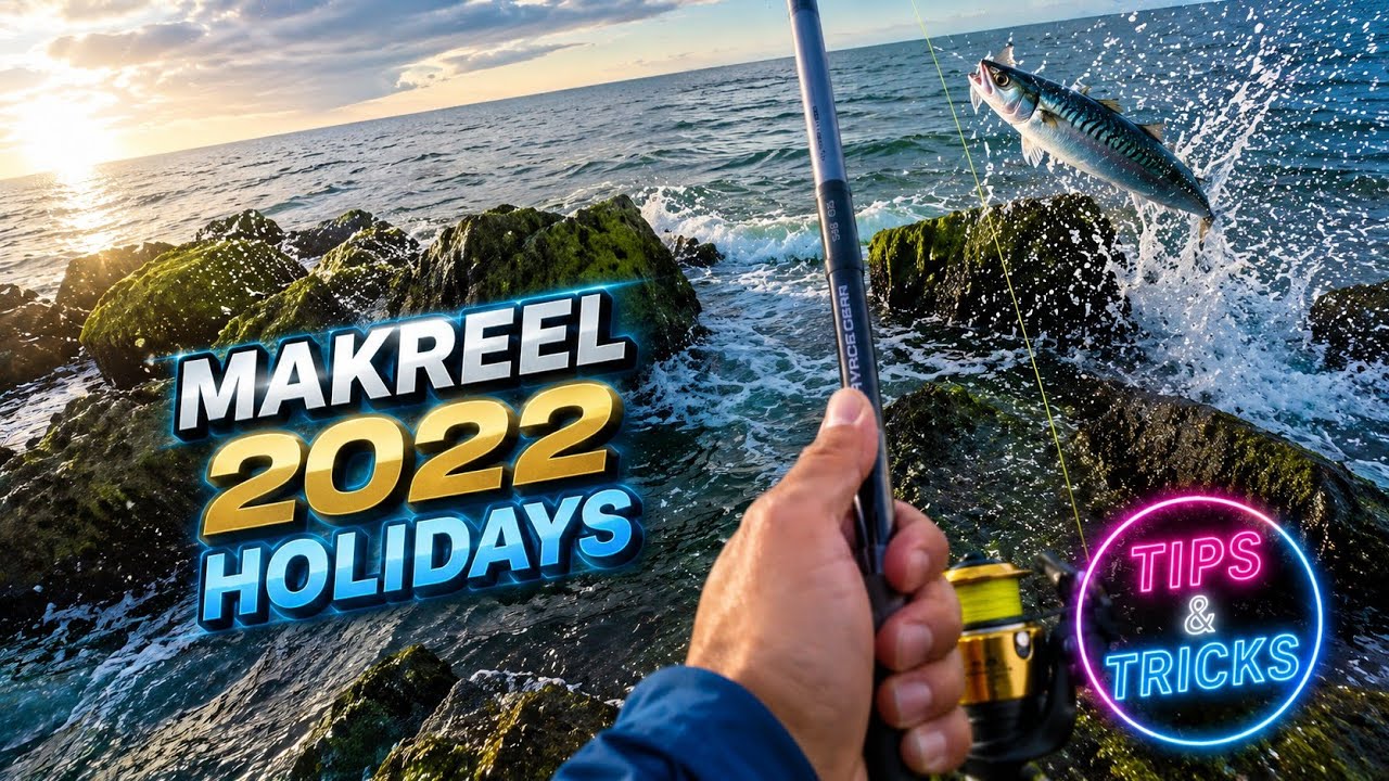 Hoe vang ik HORSMAKREEL? tips & tricks. Makreel vissen vanaf