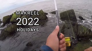 Hoe vang ik HORSMAKREEL? tips & tricks. Makreel vissen vanaf de kant