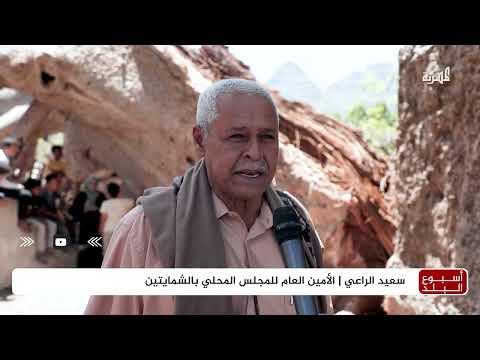كاميرا المهرية توثق حالة شجرة الغريب بتعز بعد انشقاقها