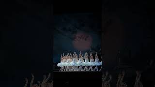 It’s Opening Night of our Summer season!