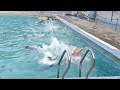 Swimming lovers..Fun life at Swimmingtips. Stay connected with Swimmingtips