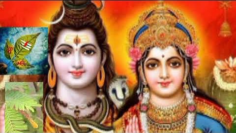 #11नवंबर सोमवार कार्तिक मास के दशमी के दिन करे एक बेलपत्र और शमी का उपाय पंडित प्रदीप जी मिश्रा