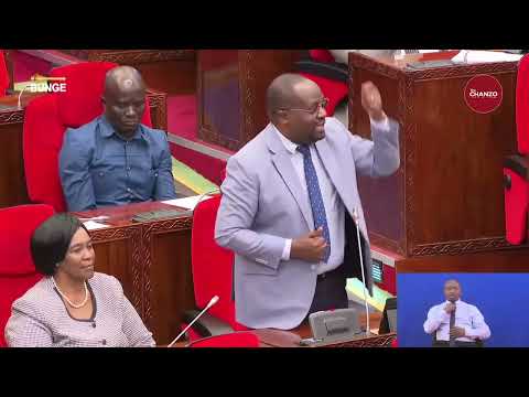 Sakata La Wachina Kariakoo Laibuka Bungeni Mbunge Agusia Vita Ya Kibiashara China Na Marekani