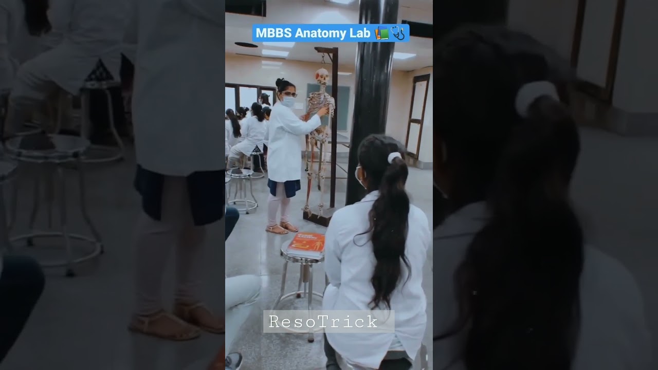 Anatomy classes in NSMU