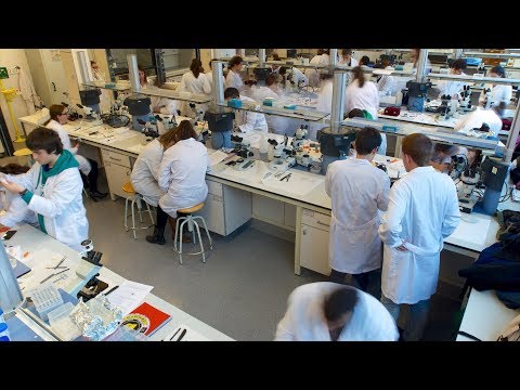 Video: Aké sú predmety v bakalárskej chémii?