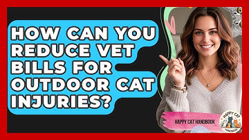How Can You Reduce Vet Bills For Outdoor Cat Injuries? - Happy Cat Handbook