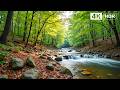 Restore Your Nervous System 🌿 Gentle Music to Ease Anxiety &amp; Soothe the Soul