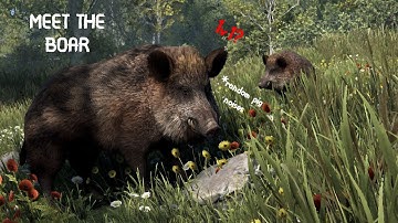 RUST NEW AI | Meet the Boar | My Experience