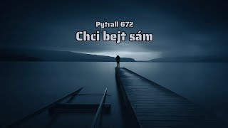 Cover tracku Chci bejt sám