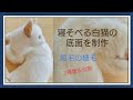 【羊毛フェルト】オッドアイ 猫 底面 植毛のやり方 How To Make Needlefelting Odd-eyes Cat Doll 【Plant hair】