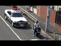 一時停止無視と歩行者妨害のバイクがパトカーに捕まる気持ち良い瞬間