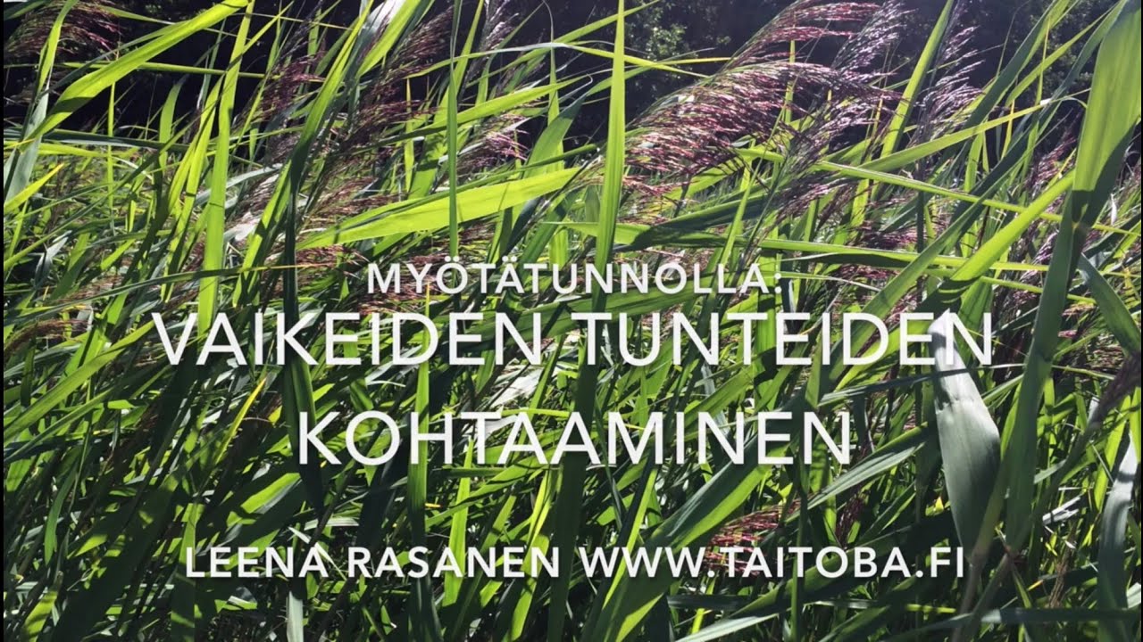 Vaikeiden tunteiden kohtaaminen - pehmentyen, tyyntyen ja sallien /Leena Rasanen, TaitoBa