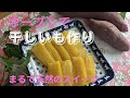 [さつまいも