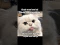 hota ha #tweetreels #aesthetic #brokenheart #sadquotes #sad #lofimusic #funny  #aestheticstatus #cat