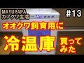 【カブトムシ・クワガタ】オオクワガタ飼育用にVERSOS製冷温庫を買ってみた！？「MAYUPAPAのカブクワ生活#13」