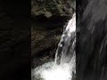 Flowing Water Sounds #nature #relaxing #watersounds #shorts #koi