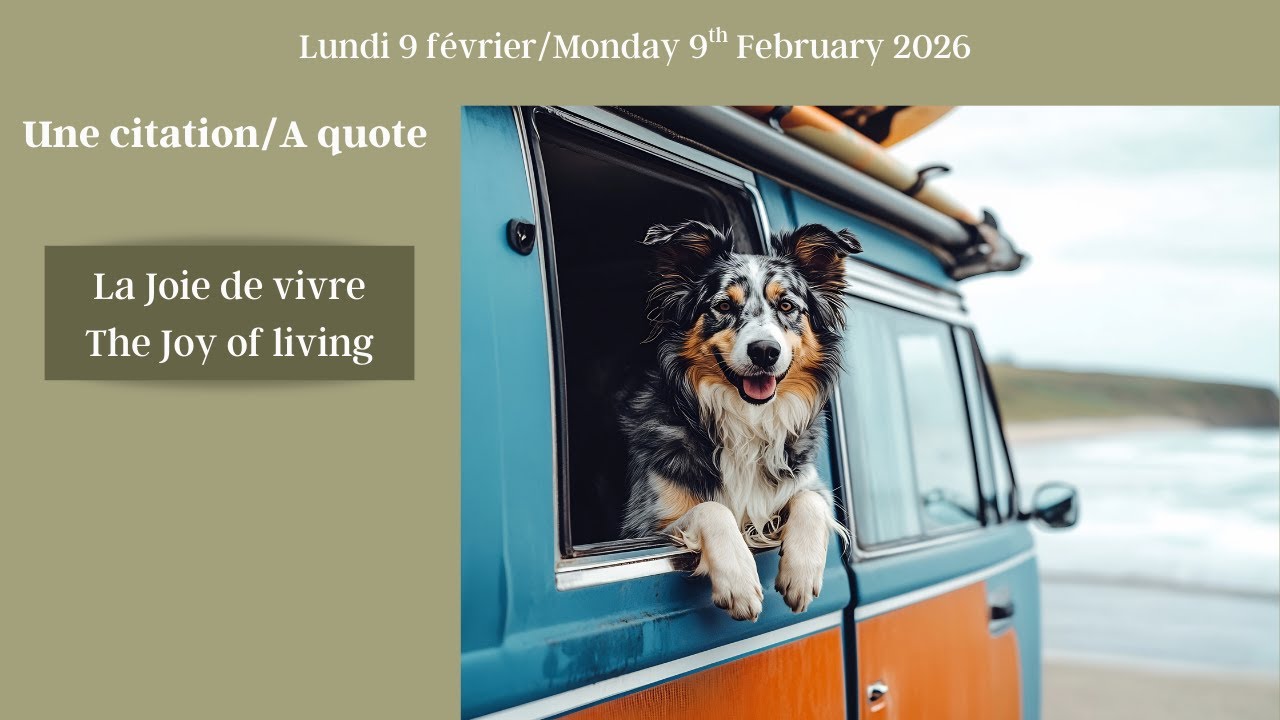 Daily French stories: La Joie de vivre/The Joy of living #learnfrench # ...