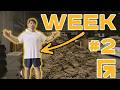 Running a Military Surplus Company - Week 2
