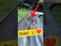 Baby Deer vs Slippery Slide 🦌😂 #BabyDeer #Wildlife #AnimalRescue #CuteAnimals #Nature #Shorts