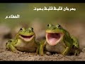 مهرجان قلبظ قلبظ بصوت الضفادع فيلو مهرجان قلبظ قلبظ بصوت الضفادع فيلو