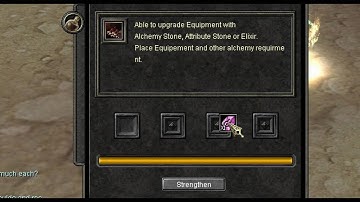 Silkroad Alchemy bug at D11