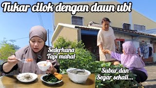 Download Lagu 🇮🇩 Tkw Taiwan 🇹🇼 Ada Apa Ini ? Perdana Majikan Nginep Di Rumah Kakek // #ceritatkwtaiwan MP3 Download Lagu 🇮🇩 Tkw Taiwan 🇹🇼 Ada Apa Ini ? Perdana Majikan Nginep Di Rumah Kakek // #ceritatkwtaiwan MP3