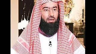 الشيخ_نبيل_العوضي-الطريق_الى_الجنة_5 screenshot 5