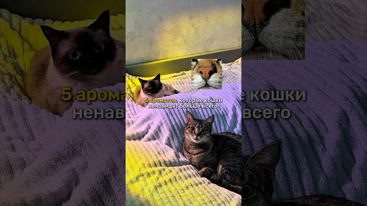 💫 Ликвидатор с WB: 