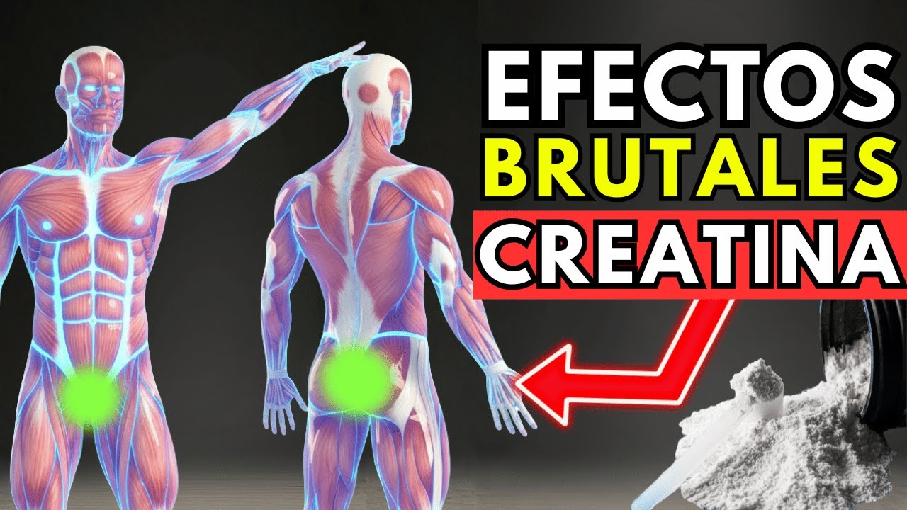 10 Cambios en tu Cuerpo al Tomar 5g de Creatina Cada Día por 30 Días – Más Músculo y Energía