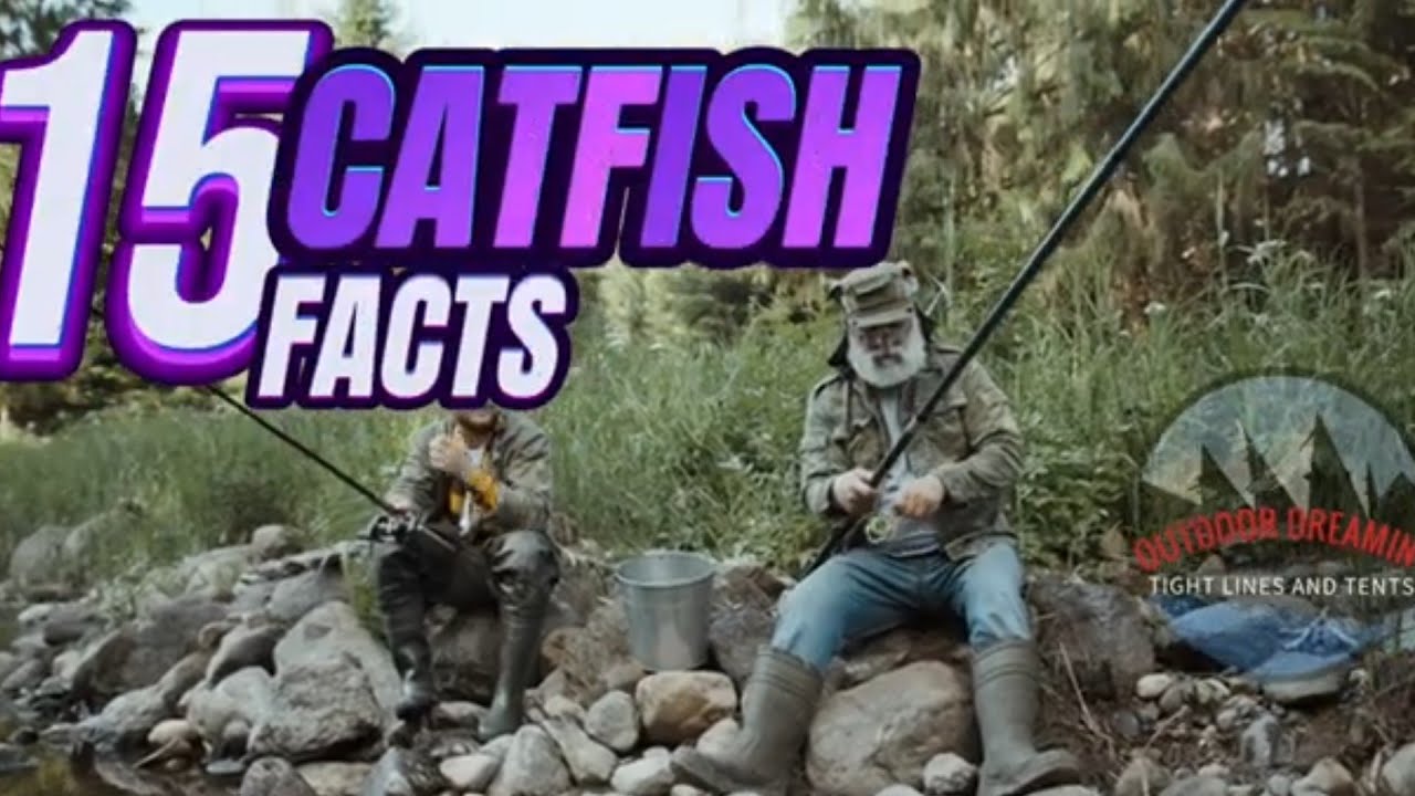 15 CATFISH FACTS