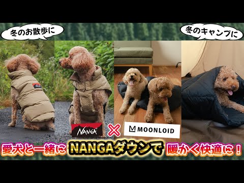 限定アイテム】愛犬と一緒にNANGAダウンで暖かく快適に！ - YouTube
