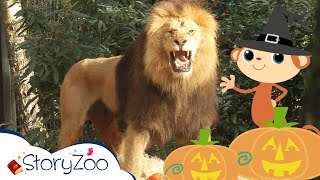 StoryZoo | StoryZoo in The Themepark | Halloween Special Pumpkin! | Educational Videos | #storyzoo