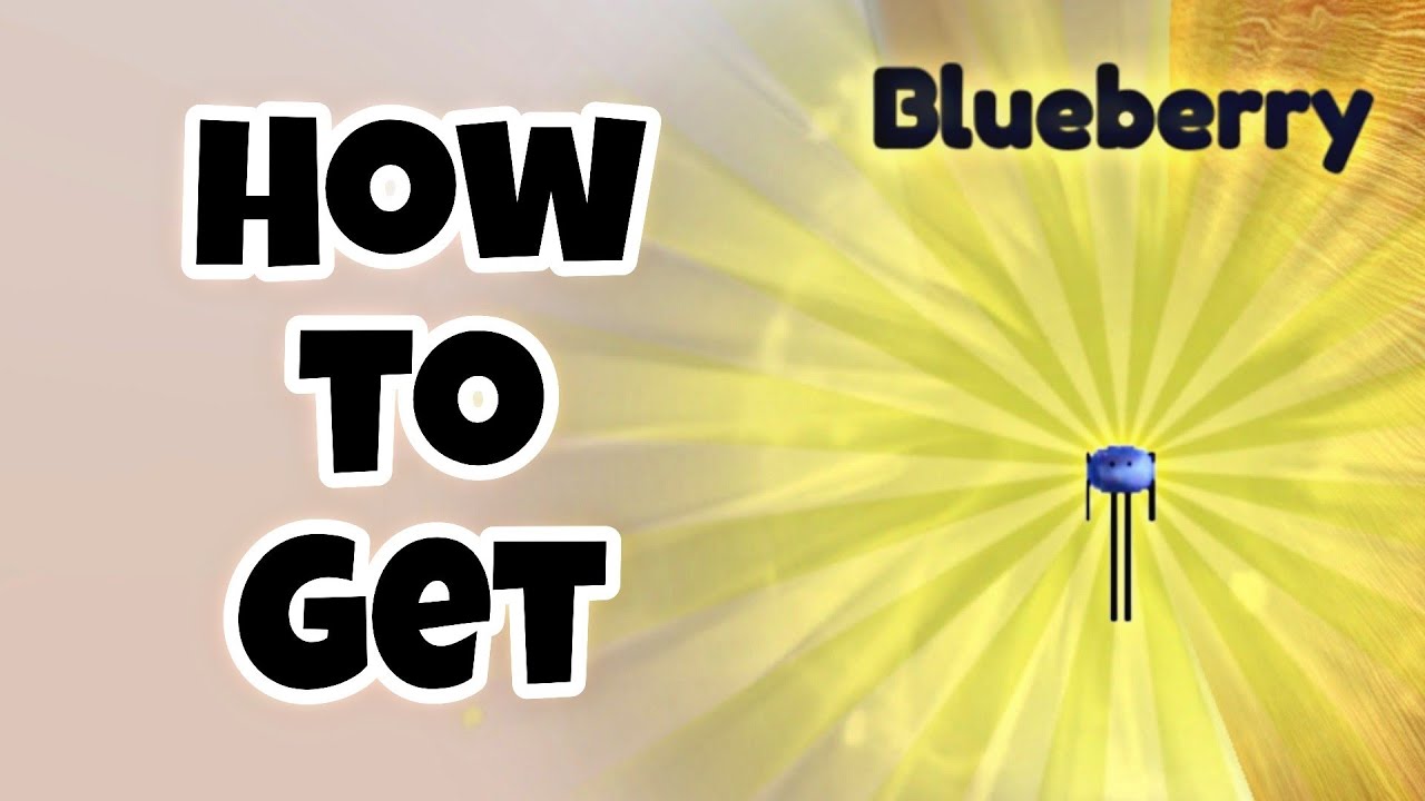 How to Get Blueberry in Secret Staycation Blueberry location YouTube