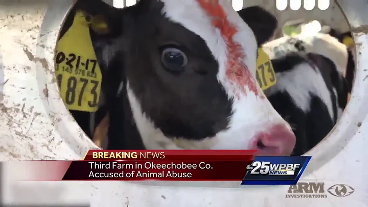 3 arrests made in alleged abuse at dairy farm