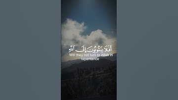 اللهم صل وسلم وبارك على سيدنا محمد 🤍🤍🥀 #تلاوة_خاشعة #اكسبلور #طمأنينة #قرآن #راحة_نفسية #قران_كريم