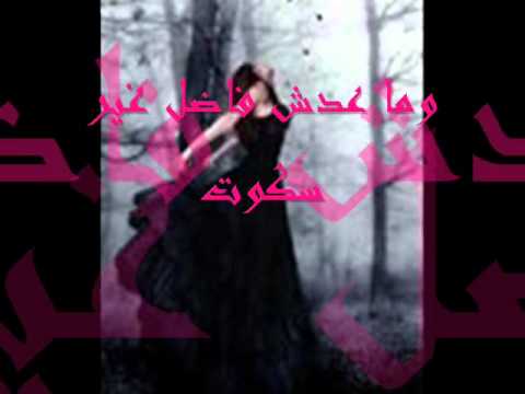 أصالة عايز الحق