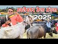 मचल श वर म ल म डल मध यप रद श 2025 Machleshwar Mela Mandla Madhyapradesh 2025 Omprakashausar मचल श वर म ल म डल मध यप रद श 2025 Machleshwar Mela Mandla Madhyapradesh 2025 Omprakashausar