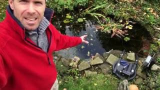 Pond maintenance (winter preparation) bubble@fishlife.co.uk 07711995665