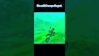I couldn't escape the goat #zelda #breathofthewild #gaming #shorts #stealth #satisfying #nintendo