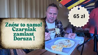Download Lagu Niechorze - Czarniak zamiast dorsza, jak nad morzem podmieniają ryby! / Oddaszfartucha MP3 Download Lagu Niechorze - Czarniak zamiast dorsza, jak nad morzem podmieniają ryby! / Oddaszfartucha MP3