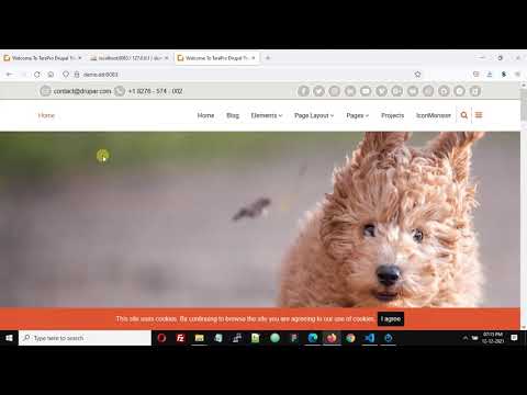 Import Drupal Demo Content Using SQL File